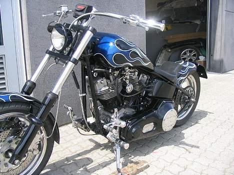 Harley Davidson Stivstel billede 5