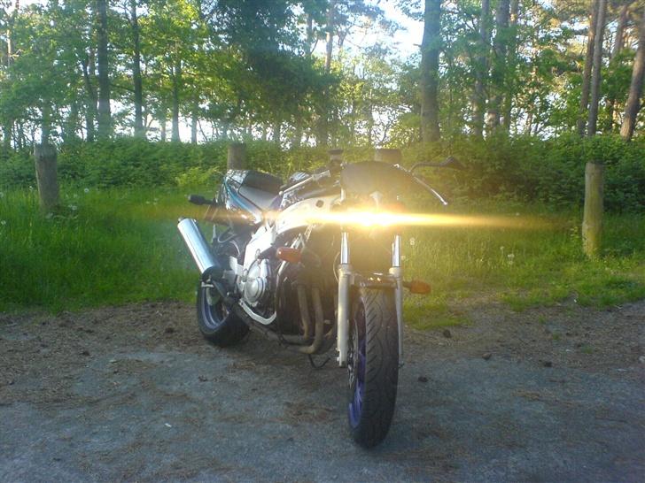 Yamaha FZR 600 [SOLGT] billede 7