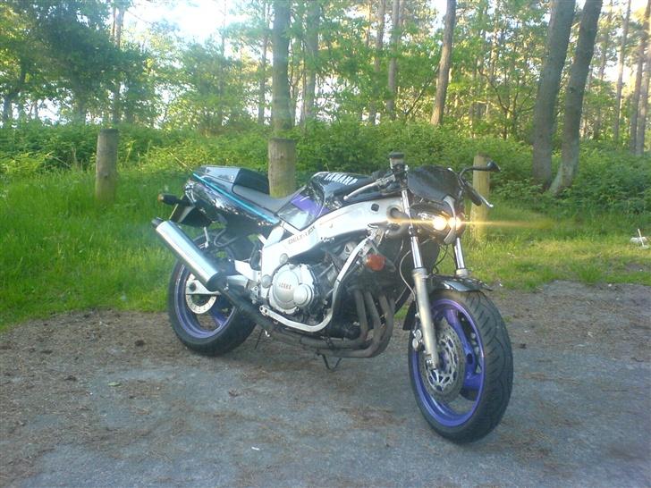 Yamaha FZR 600 [SOLGT] billede 8