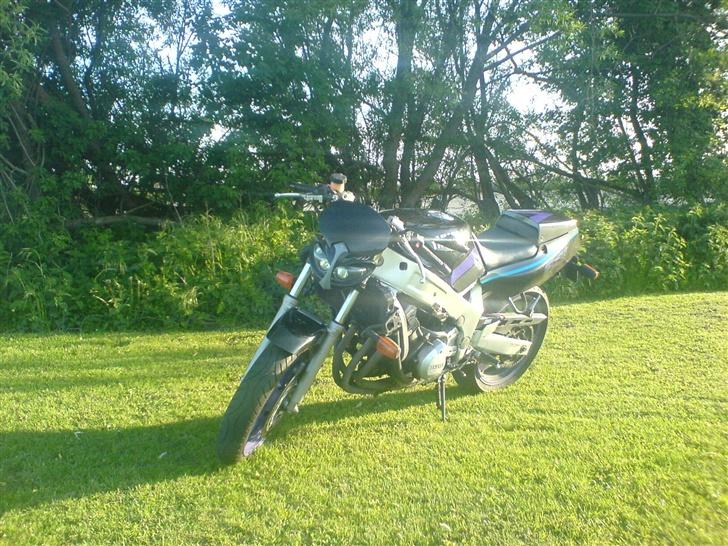 Yamaha FZR 600 [SOLGT] billede 10