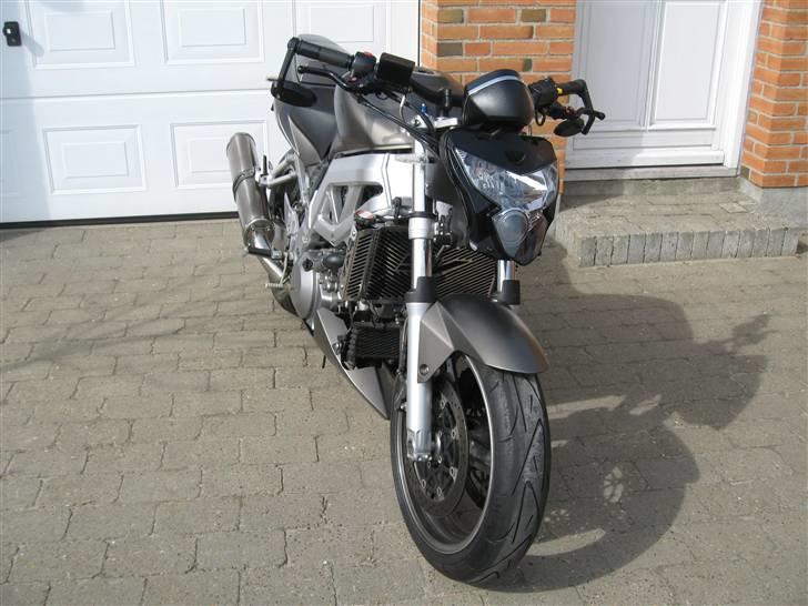 Suzuki SV1000 *SOLGT* billede 1