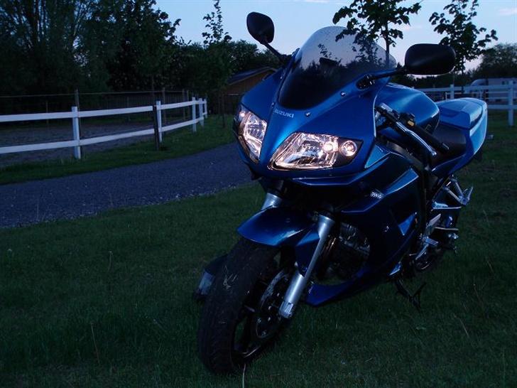 Suzuki SV650 S (Solgt!) billede 6