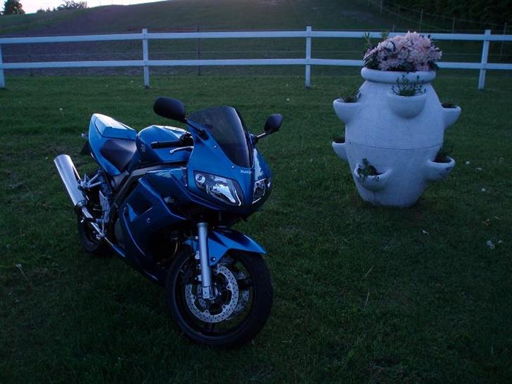 Suzuki SV650 S (Solgt!) - Uden lys... =) billede 7