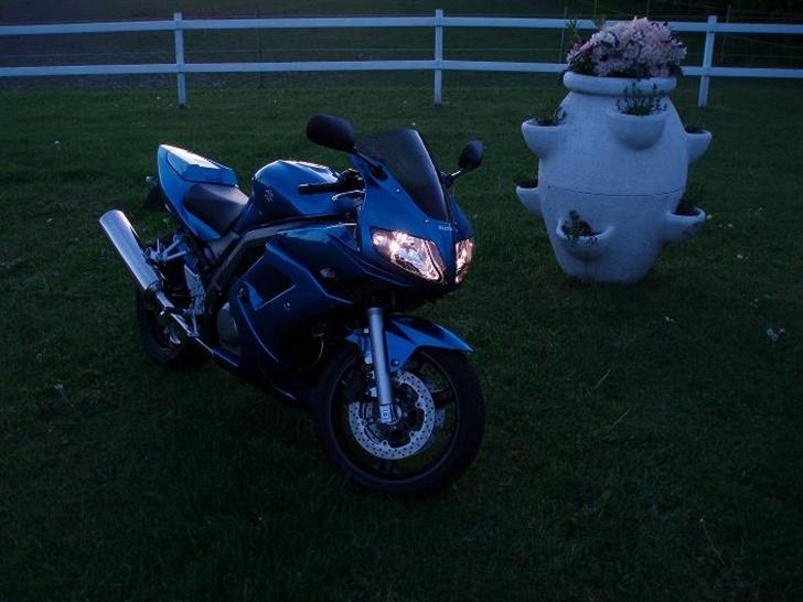 Suzuki SV650 S (Solgt!) - Med lys... =) billede 8