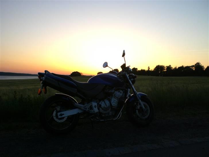 Honda cb 600 f hornet - juni 08 billede 1