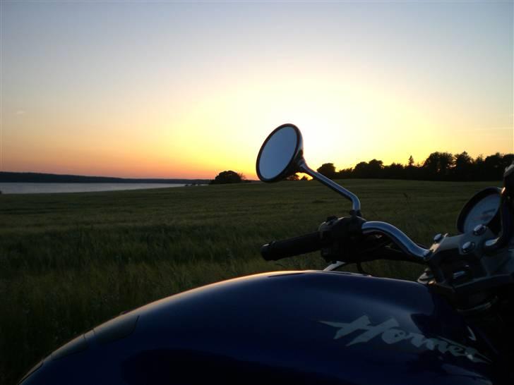 Honda cb 600 f hornet - juni 08 billede 2