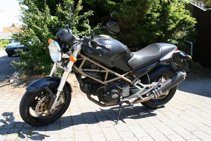 Ducati Monster billede 1