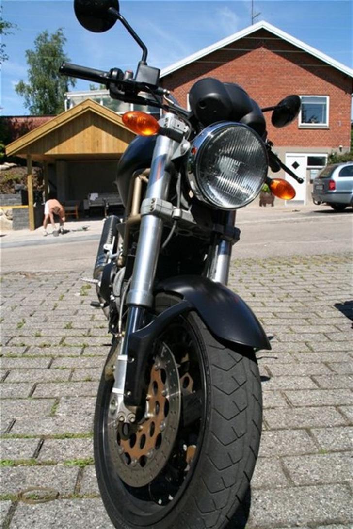 Ducati Monster billede 2