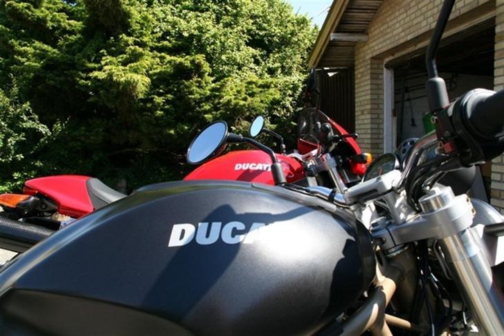 Ducati Monster billede 4