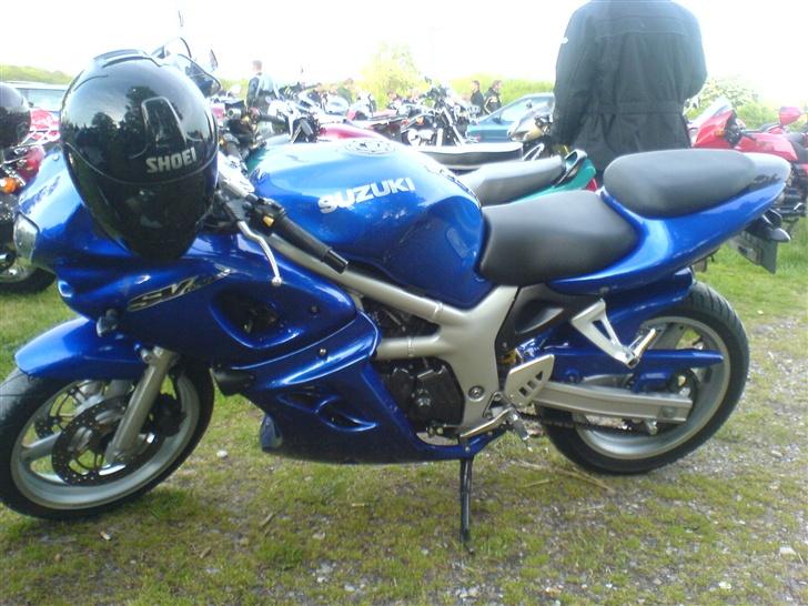 Suzuki sv (solgt) - ved Kalø Vig billede 16