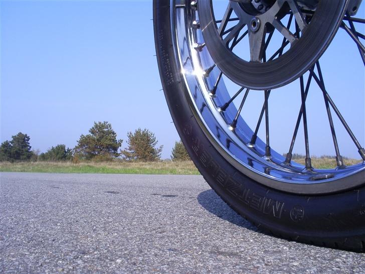 Suzuki Savage LS 650  billede 16