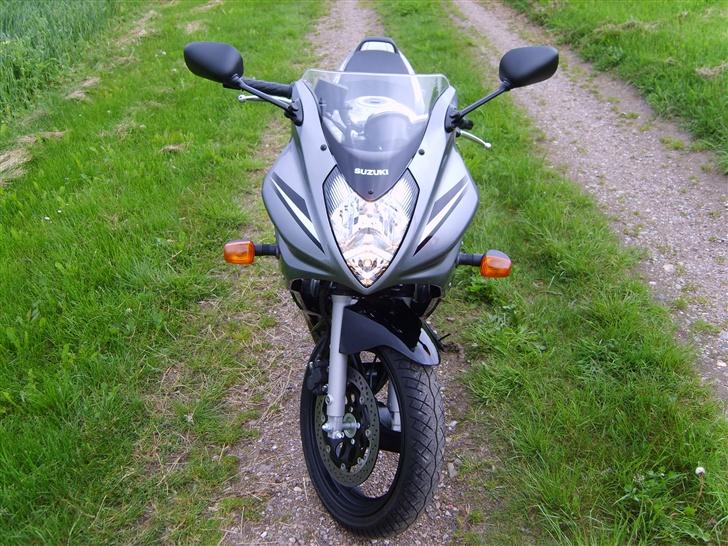 Suzuki GS 500 FK7 billede 4