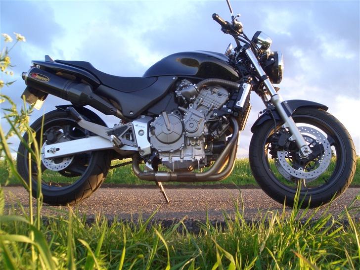 Honda CB600F Hornet  billede 1