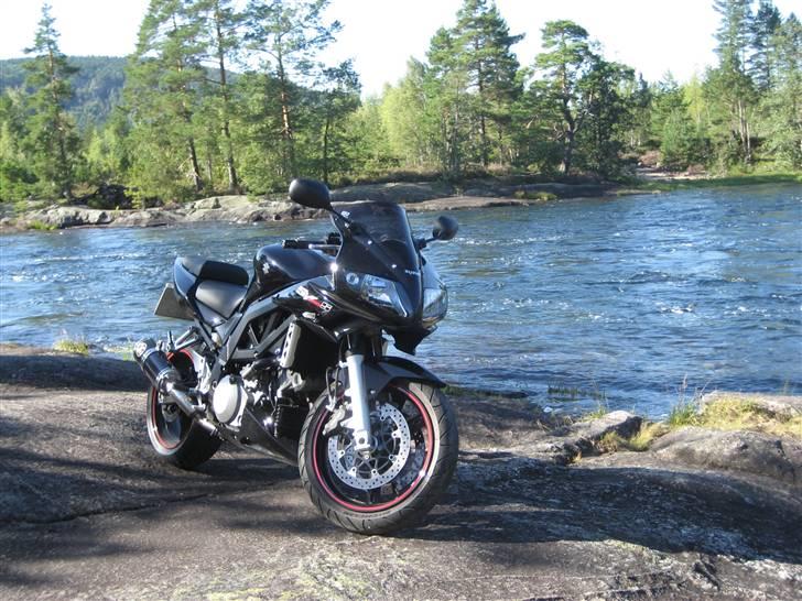 Suzuki SV 1000s K7 - Solgt - :-( billede 1