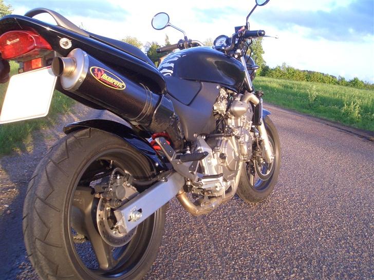 Honda CB600F Hornet  billede 5