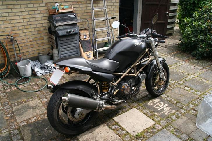 Ducati Monster billede 6