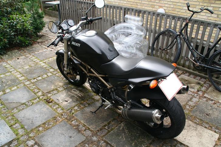 Ducati Monster billede 7