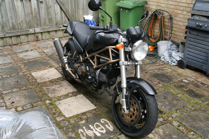 Ducati Monster billede 8