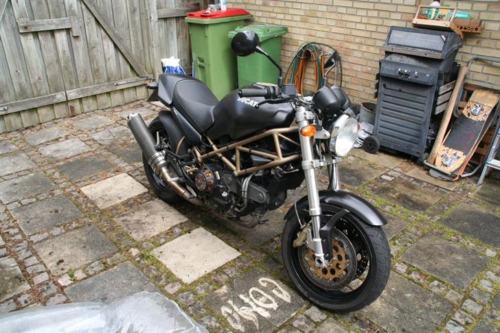 Ducati Monster billede 9