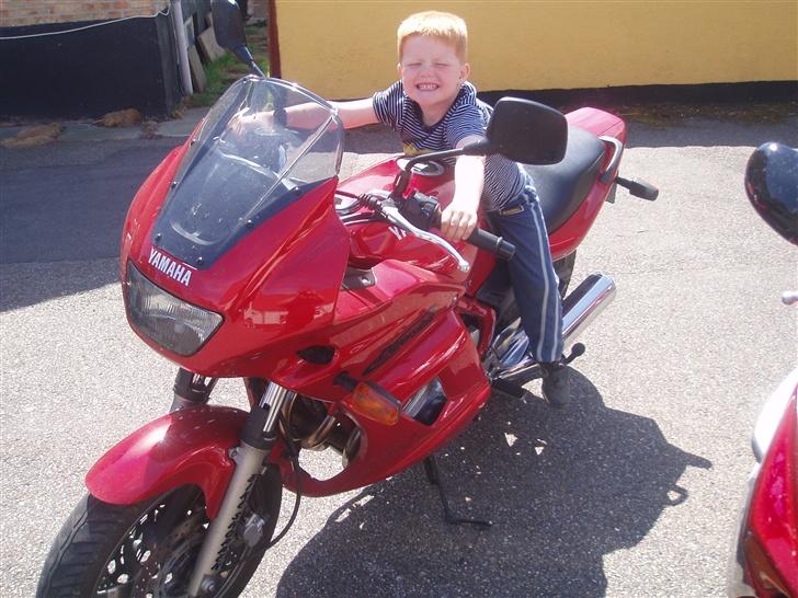 Yamaha xj600s diversion - Man kan ligeså godt oplære dem fra små ;)) billede 8