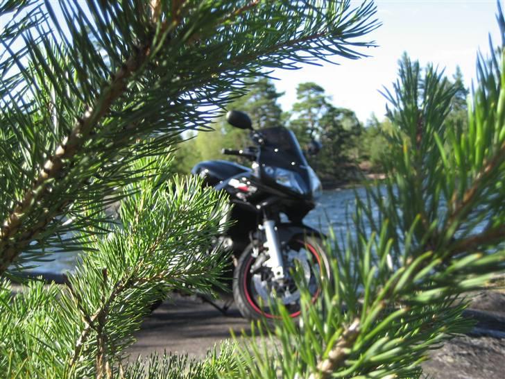 Suzuki SV 1000s K7 - Solgt - :-( billede 3