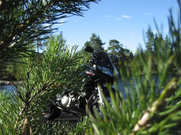Suzuki SV 1000s K7 - Solgt - :-( billede 6
