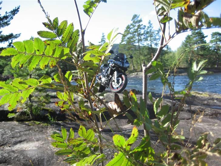 Suzuki SV 1000s K7 - Solgt - :-( billede 7