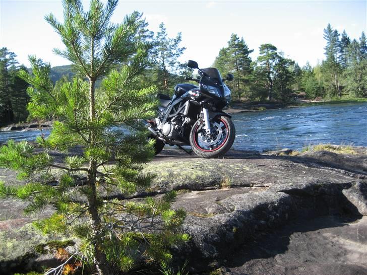 Suzuki SV 1000s K7 - Solgt - :-( billede 8