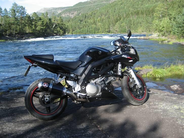 Suzuki SV 1000s K7 - Solgt - :-( billede 9