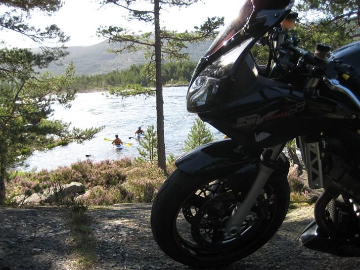 Suzuki SV 1000s K7 - Solgt - :-( billede 10