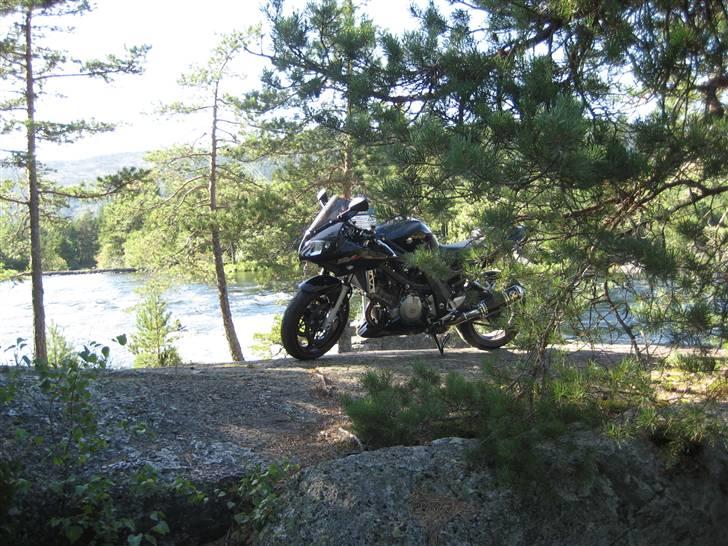 Suzuki SV 1000s K7 - Solgt - :-( billede 13