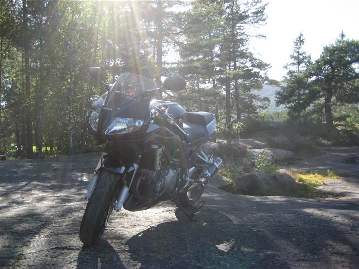 Suzuki SV 1000s K7 - Solgt - :-( billede 14
