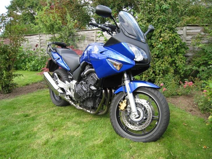 Honda CBF 600 SA [SOLGT] - CBF in the yard billede 1