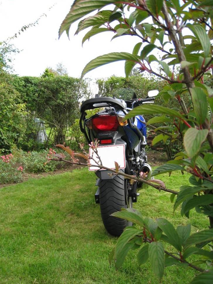 Honda CBF 600 SA [SOLGT] - Paparazzi billede 7