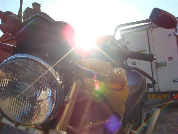 Ducati MONSTER - Hun skinner om kap med solen billede 3