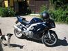 Suzuki SV 1000S Solgt!!!!!