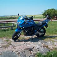 Suzuki GSF 650s BANDIT