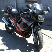 Suzuki GSX600F SOLGT