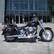 Harley Davidson Softtail