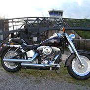 Harley Davidson Softtail