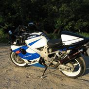 Suzuki TL1000R