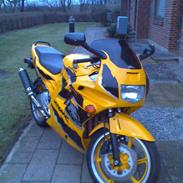 Honda CBR 600