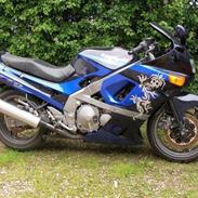 Kawasaki zzr 600