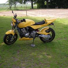 Honda Hornet - El diablo- [solgt] 