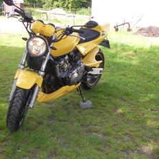 Honda Hornet - El diablo- [solgt] 