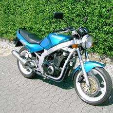 Suzuki GS500E (Solgt)