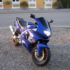 Yamaha YZF 600 R THUNDERCAT