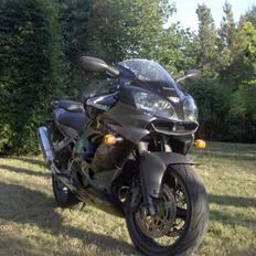 Kawasaki ZX9R - Totalskadet