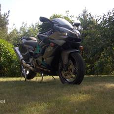 Kawasaki ZX9R - Totalskadet