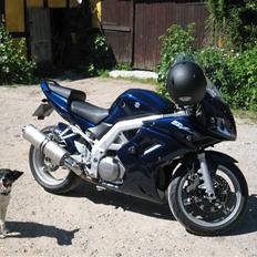 Suzuki SV 1000S Solgt!!!!!